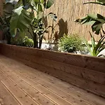 Summer Me - Gardenhouse Downtown