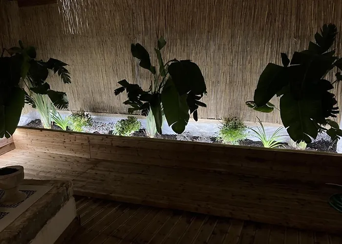 Summer Me - Gardenhouse Downtown